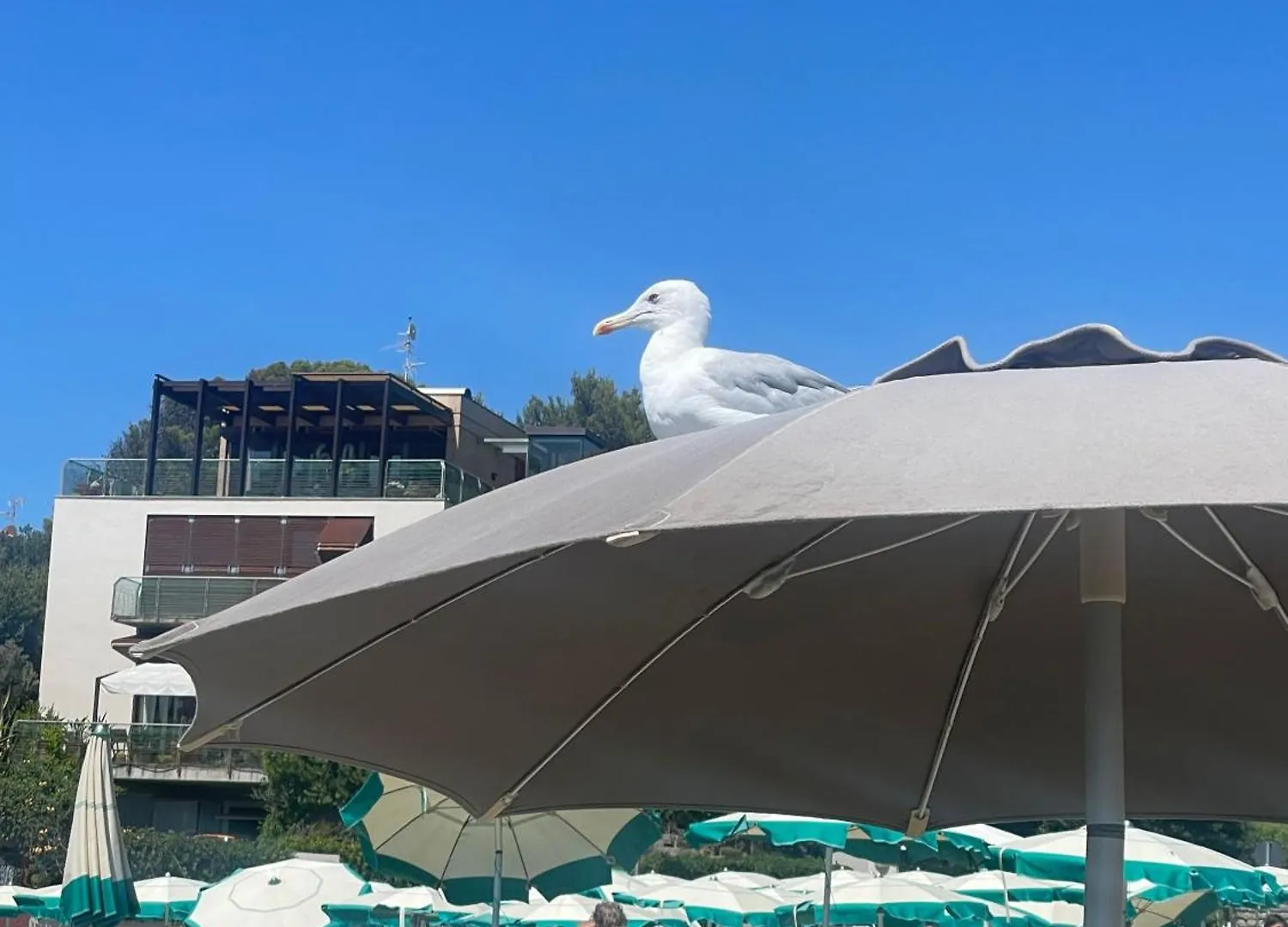 Apartment Villa Lina Castiglioncello Italy